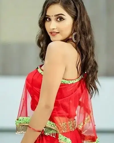 Escort In Firozpur